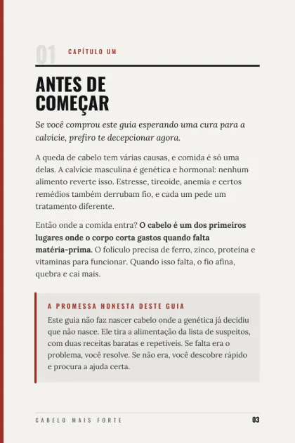 Página do capítulo 1 do ebook